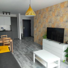 APARTAMENT HELSINKI, Kraków